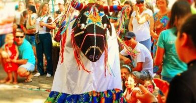 A tradição do boi-de-mamão, o patrimônio imaterial catarinense.